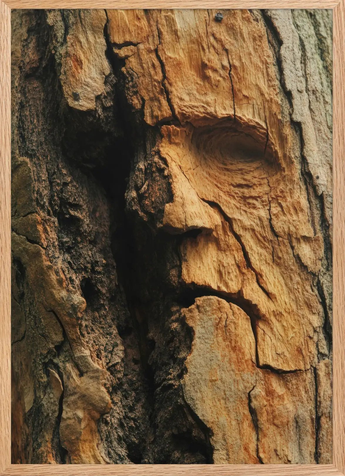 The Living Bark — Framed
