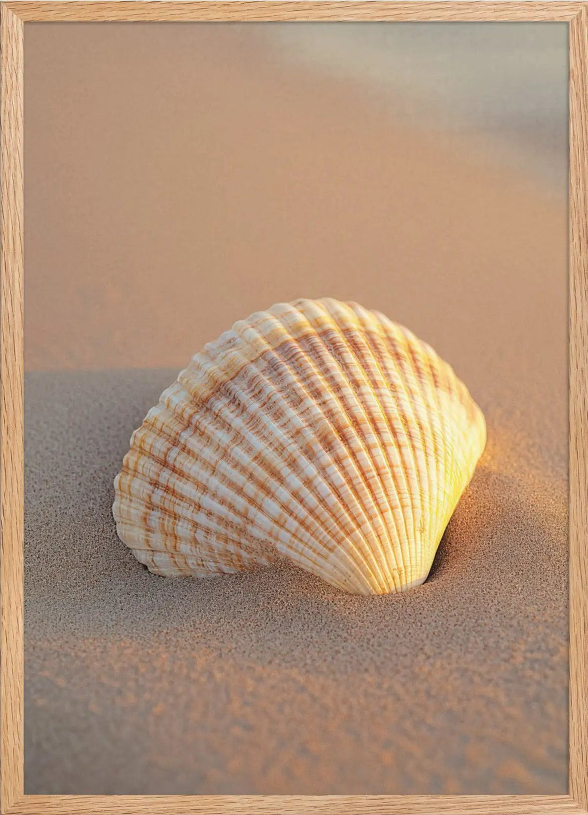 L’Heure Dorée — Minimalistische ivoorkleurige schelp zand wandposter