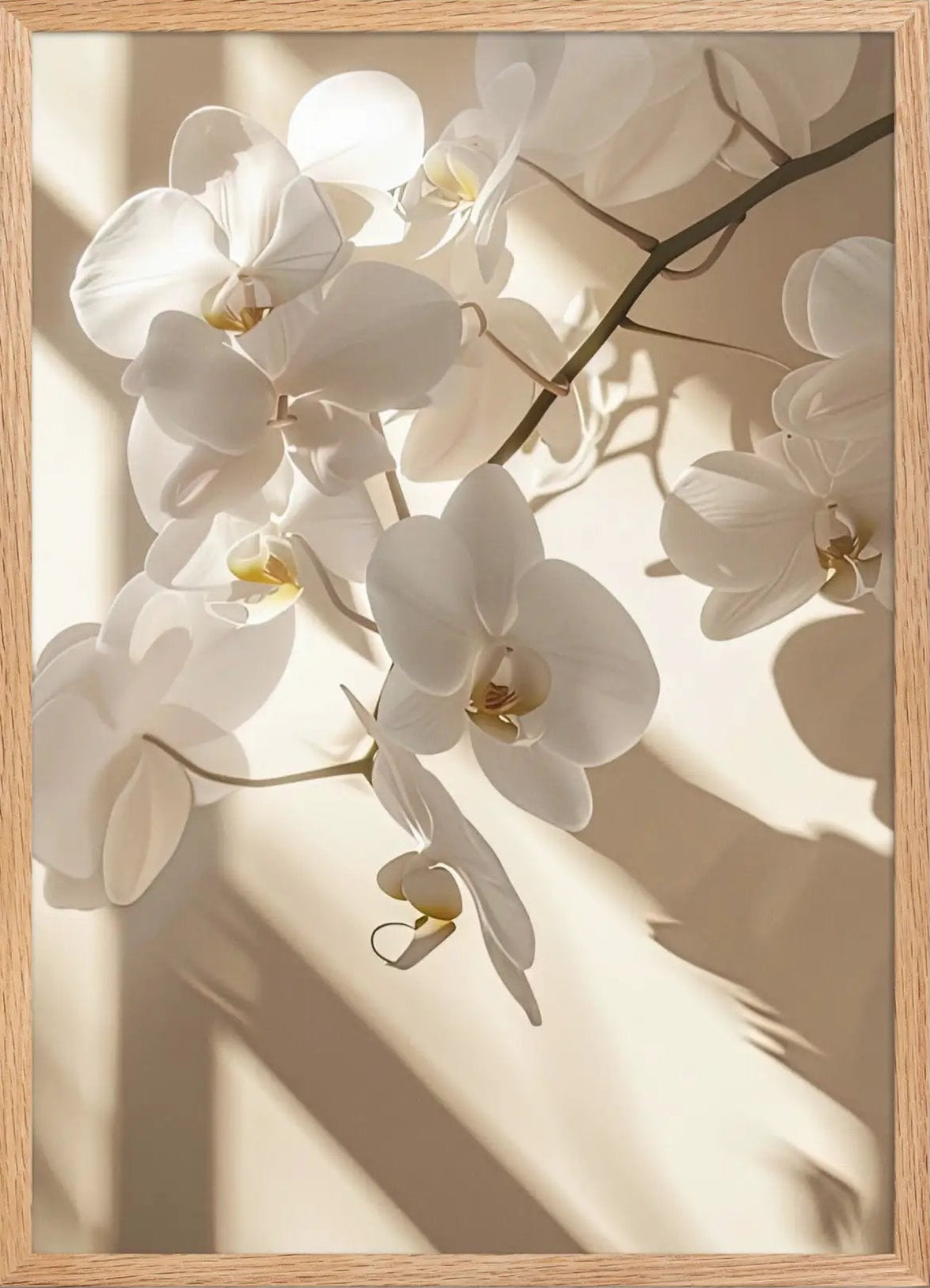 Orchid of Light — Framed