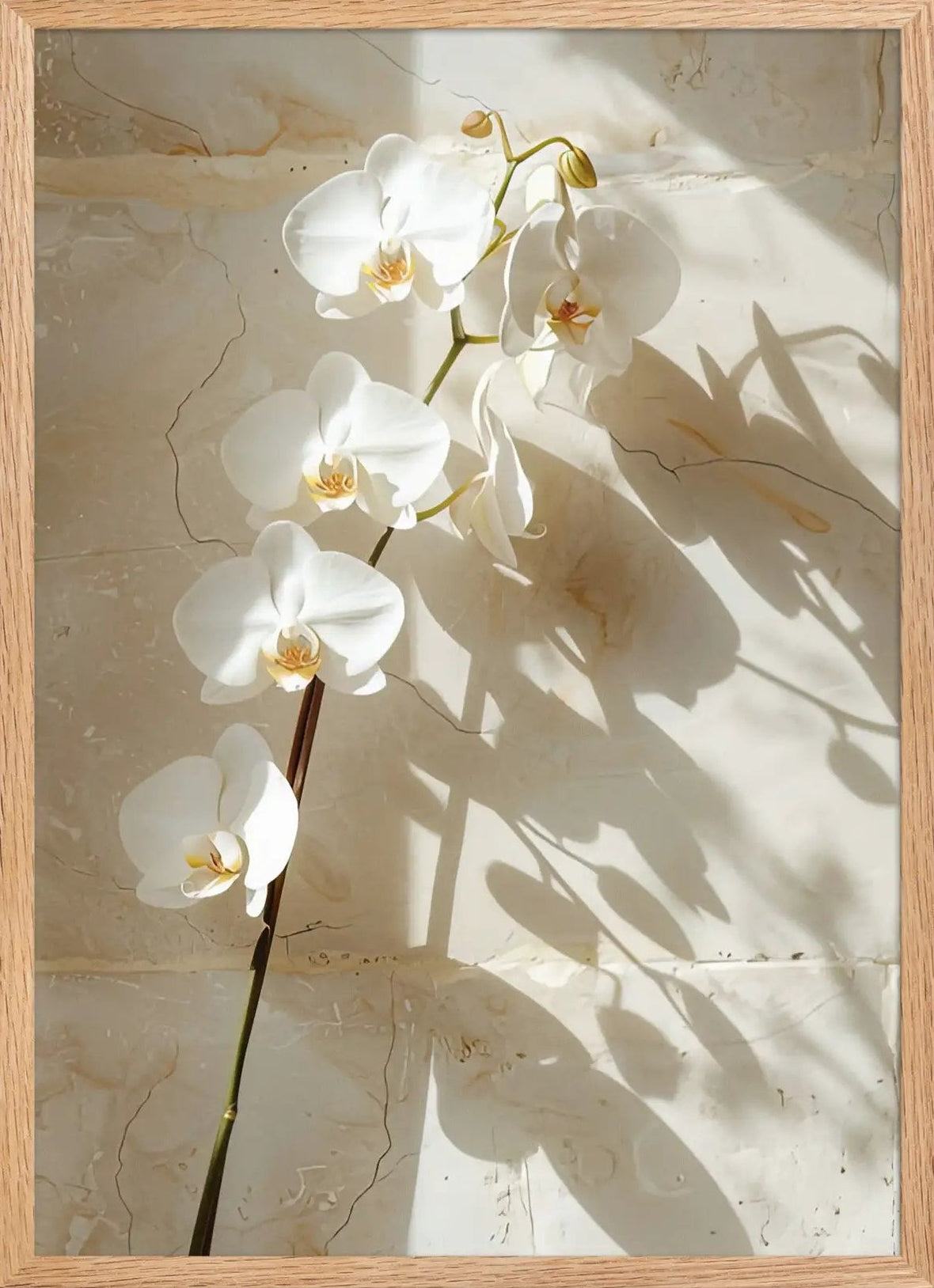 Der Orchidee von Pierre – Gerahmt