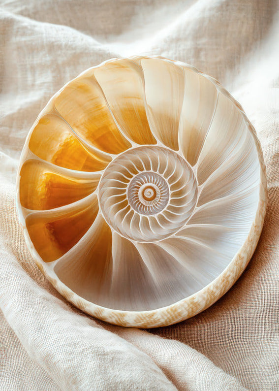 Gyllene Nautilus — Minimalistisk väggaffisch i elfenben, bärnsten och hav