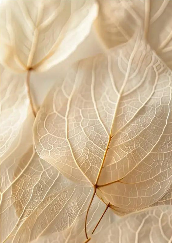 Skeleton Leaf — Minimalist Ivory Veins Wall Poster