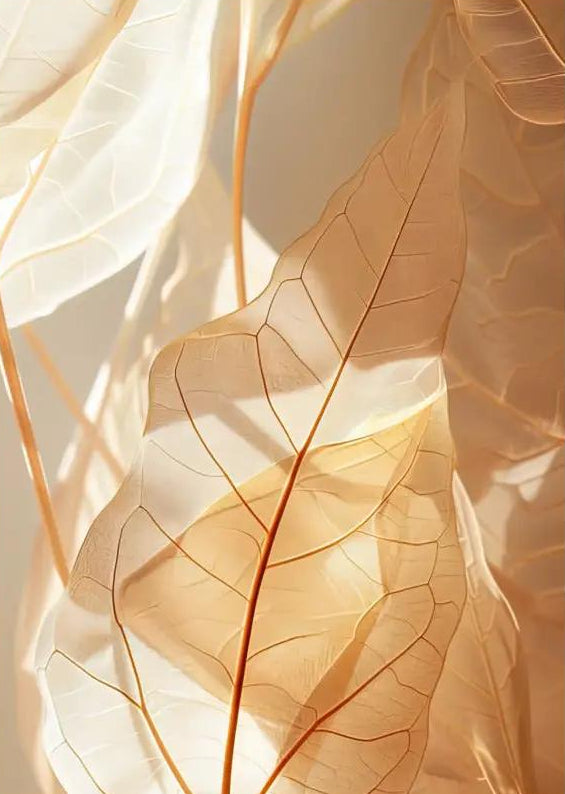 O Âmbar Vegetal — Poster de parede minimalista ouro âmbar folhas