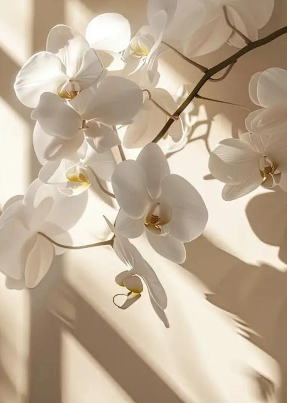 The Light Orchid — Ivory minimalist orchid wall poster