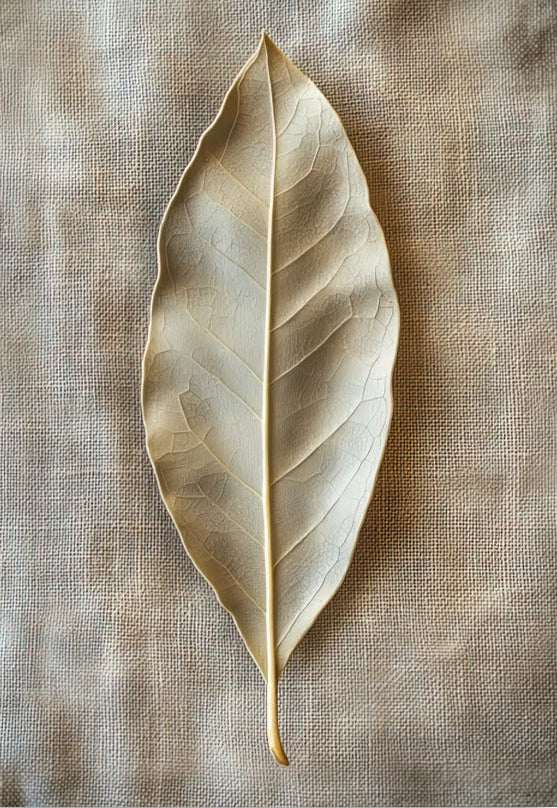 The Bay Leaf poster on 189 g/m² matte paper — dried bay leaf on a sand jute ground