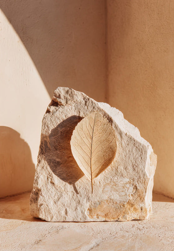 Mediterranean wall art on 189 g/m² matte paper — Cassili-home