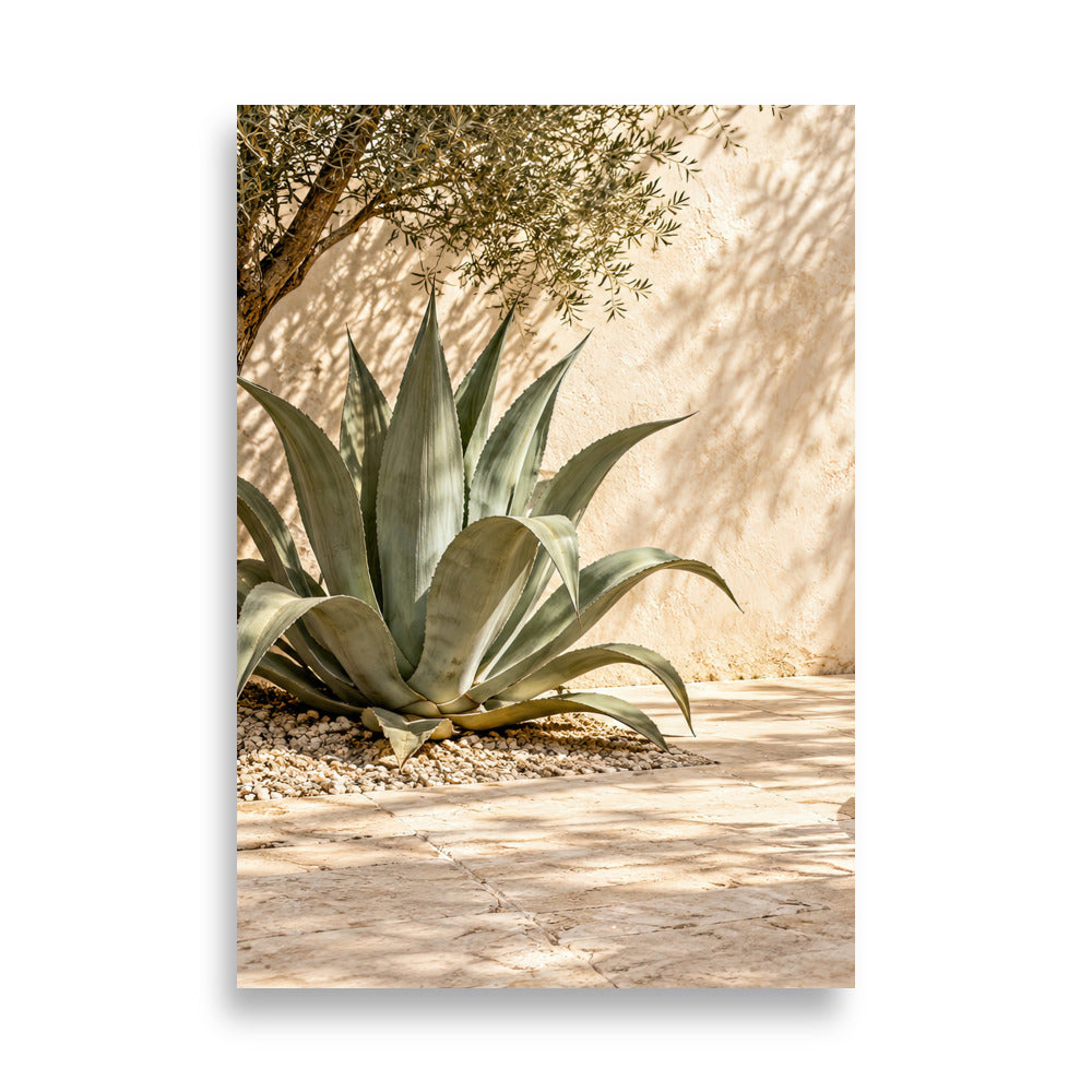 Agaven och Olivträdet, minimalistisk väggaffisch grön agave och olivträd — Cassili-home