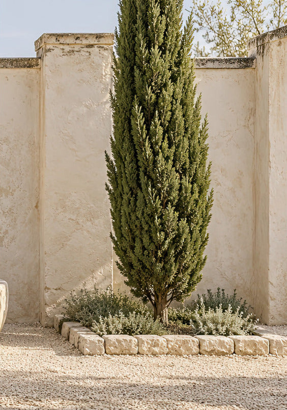 The Lone Cypress — unframed poster 70 × 100 cm, 189 gsm matte paper