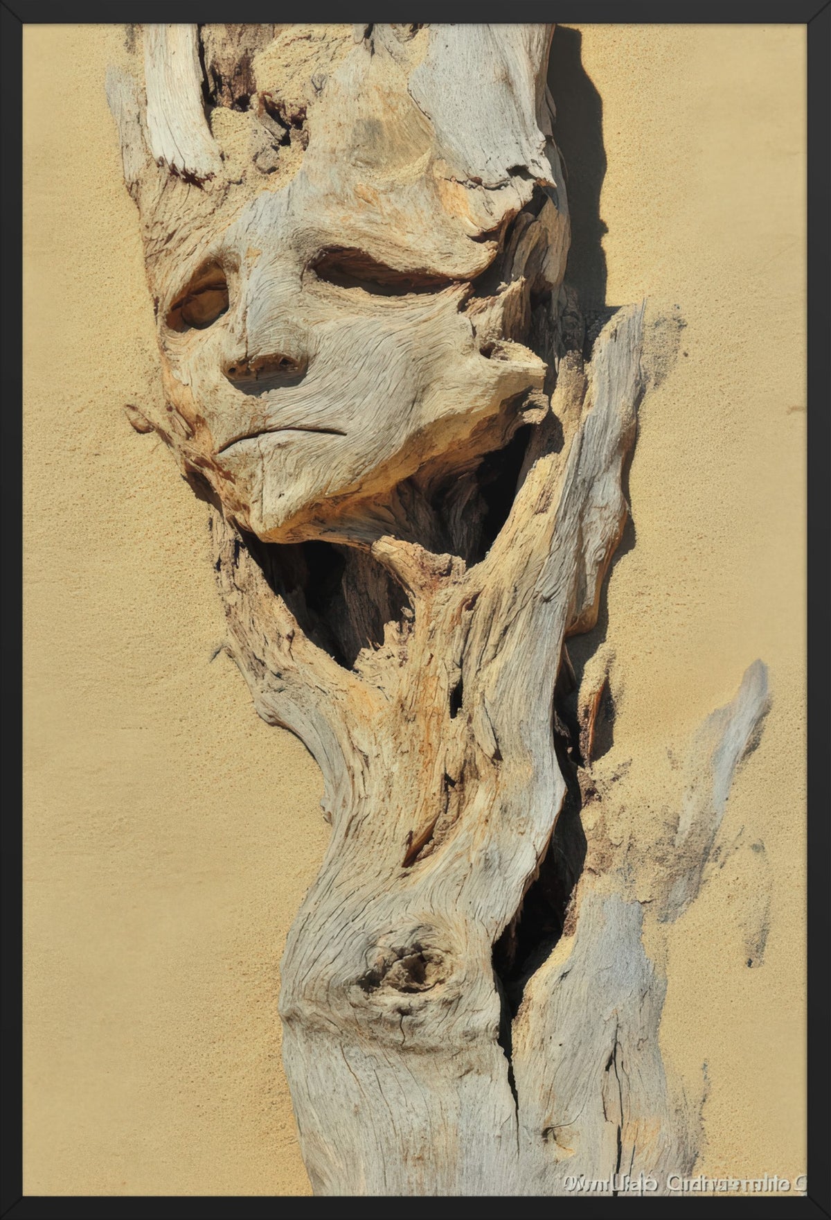Driftwood Spirit — poster in a black frame, front view