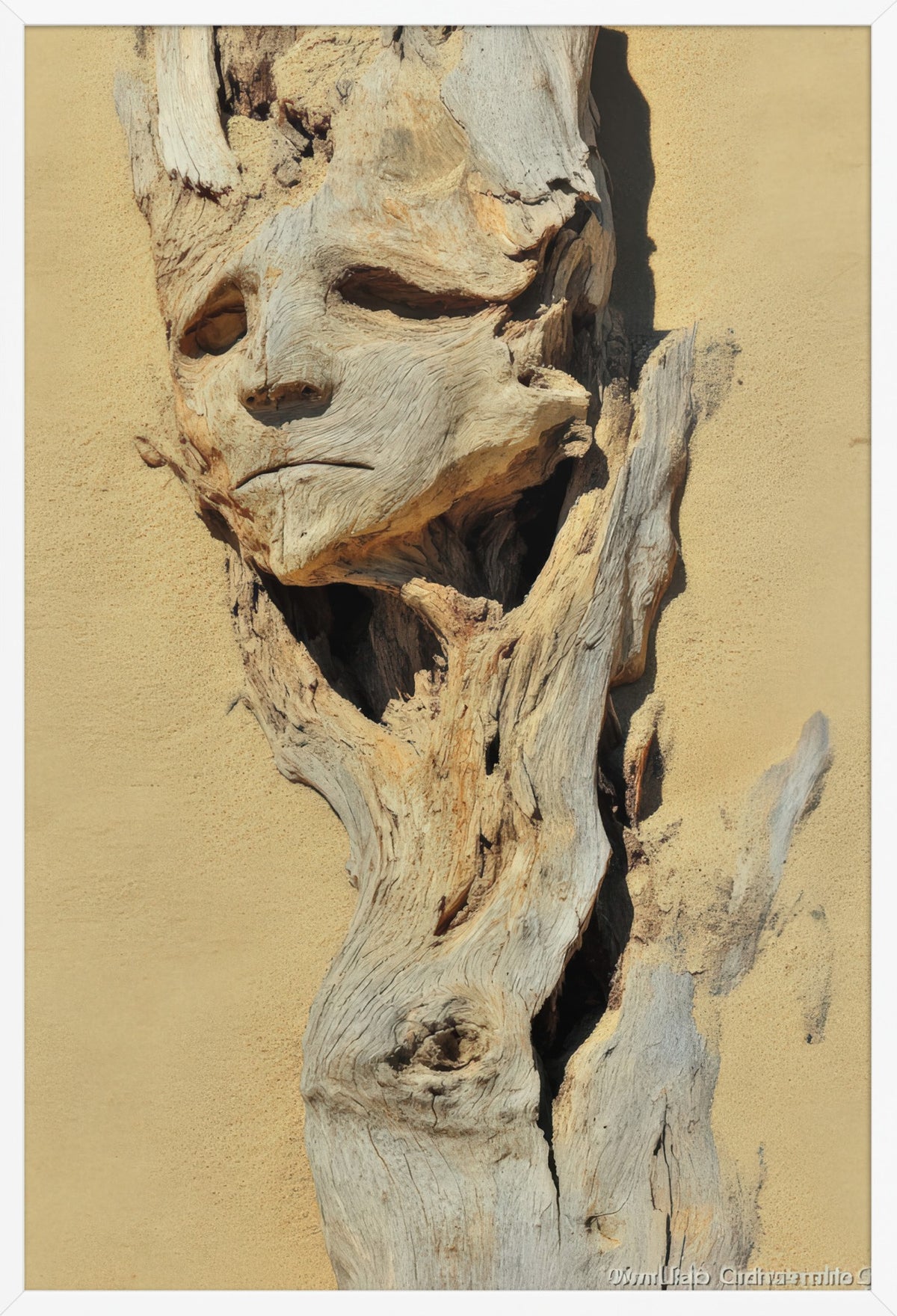 Driftwood Spirit — poster in a white frame, front view