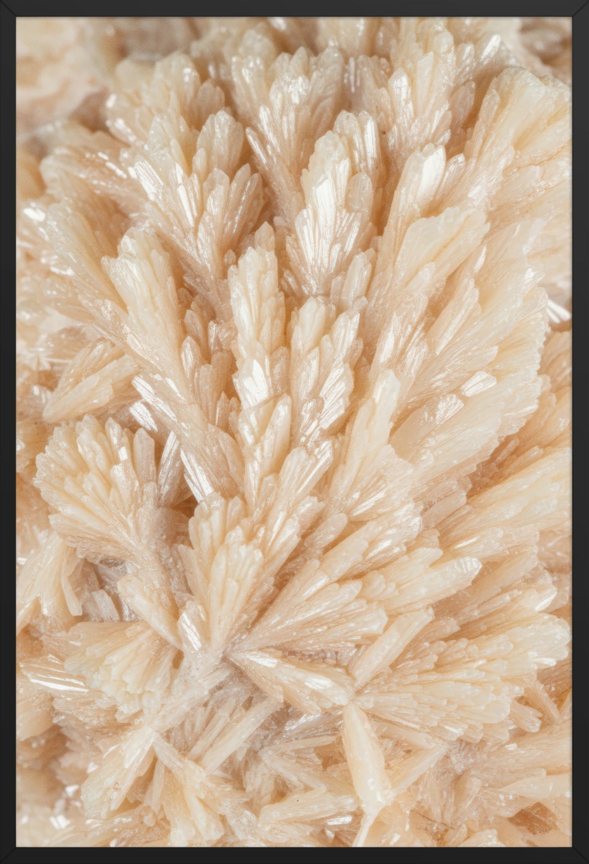The Crystal Fan — poster in a black frame, front view