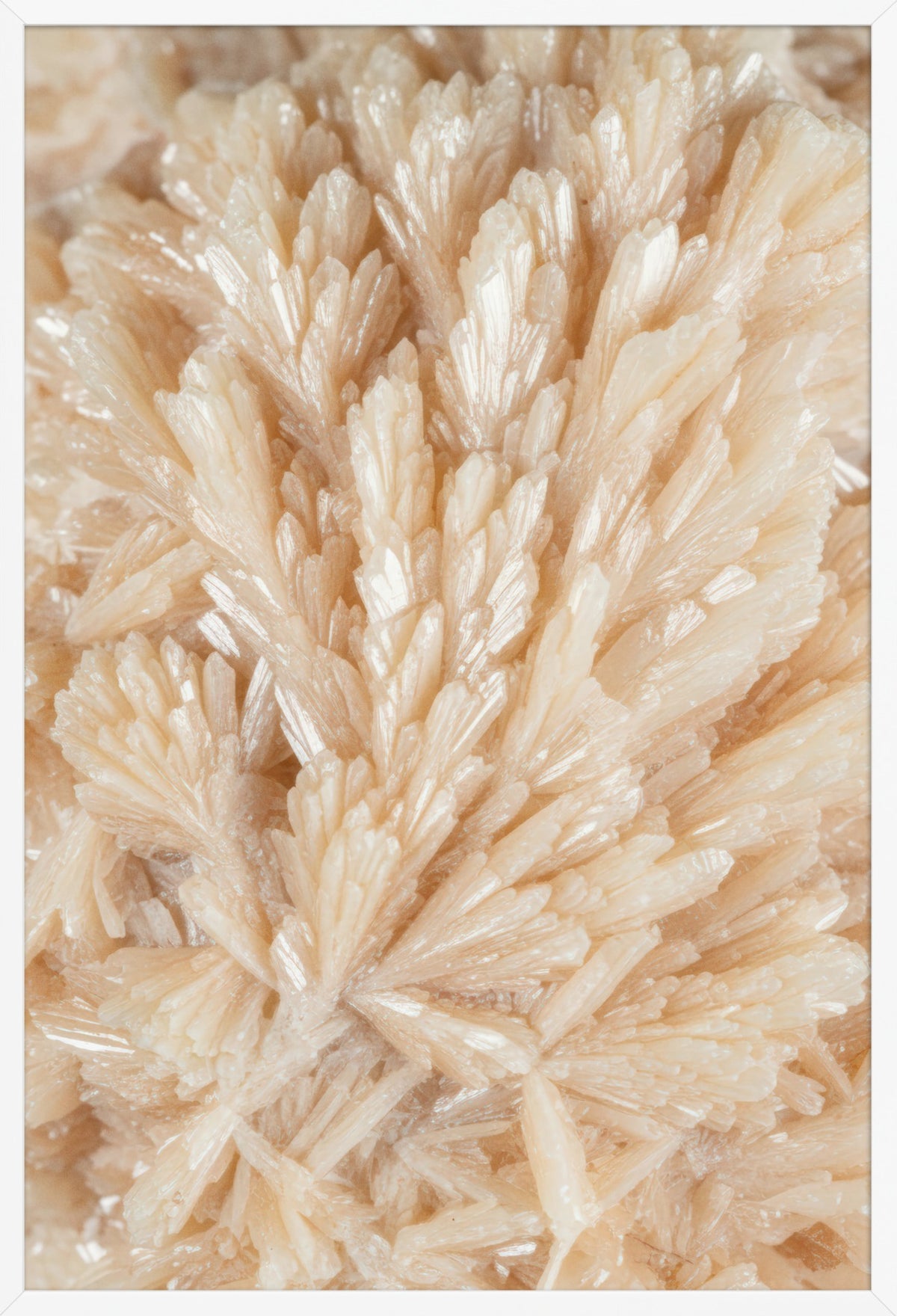 The Crystal Fan — poster in a white frame, front view