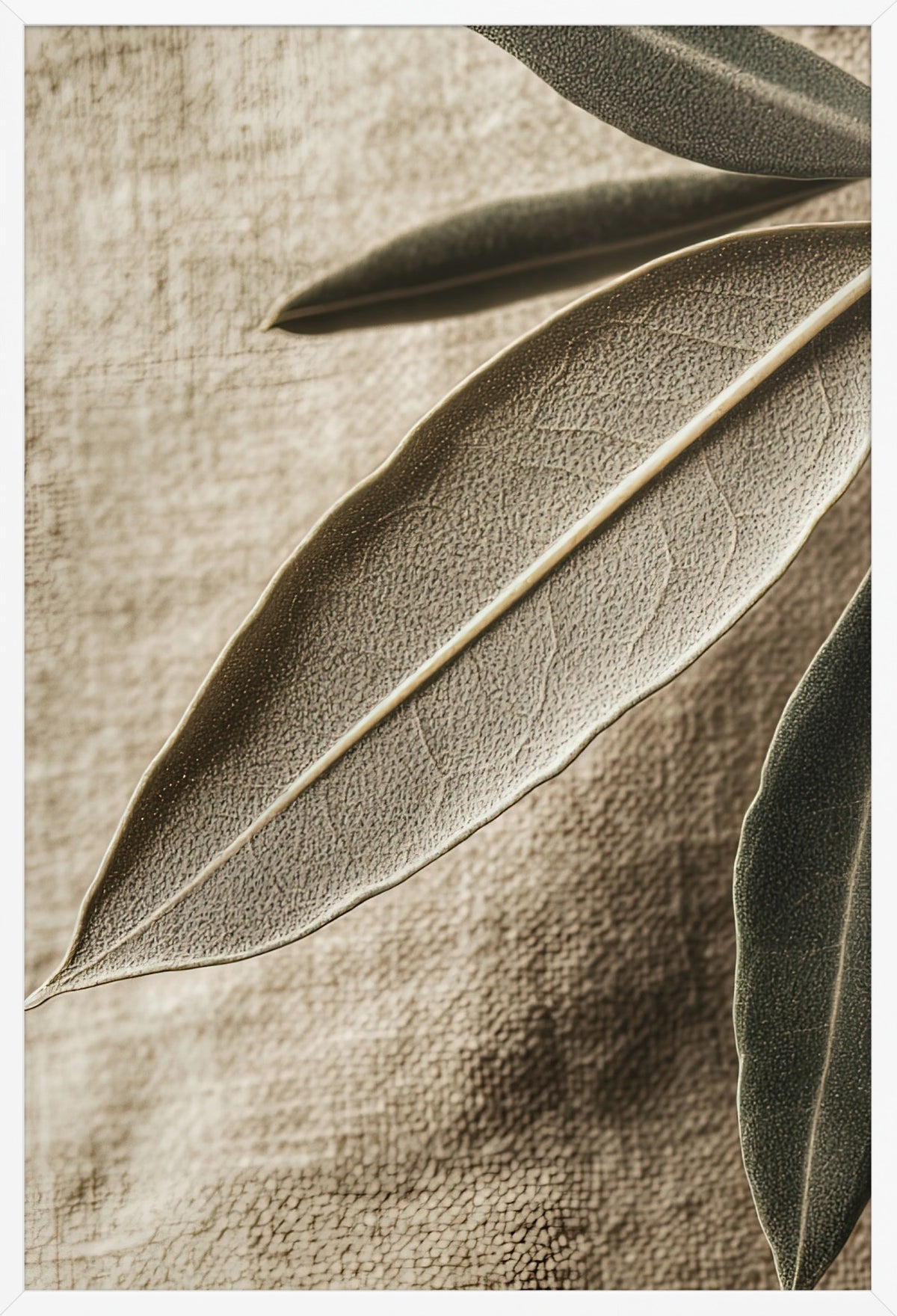 Linen Leaves — poster in a white frame, front view
