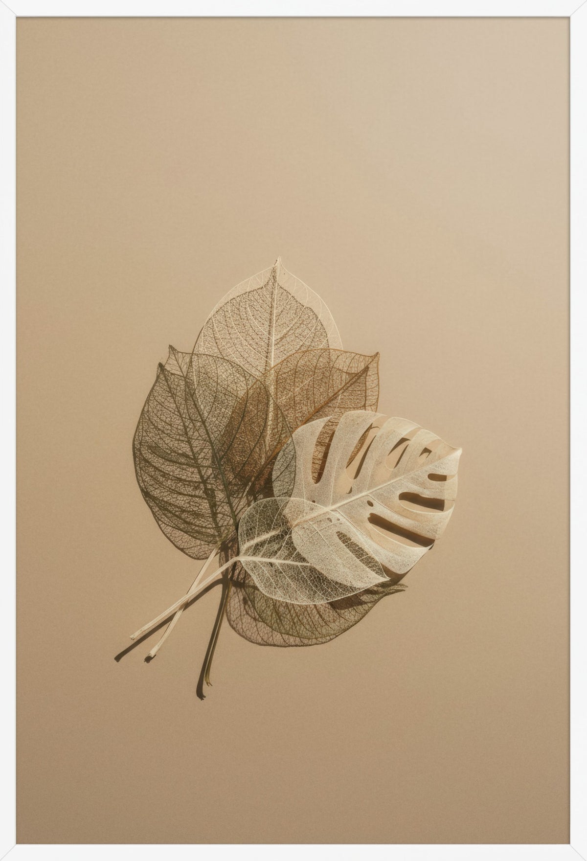 Golden Skeleton Leaves — poster in a white frame, front view