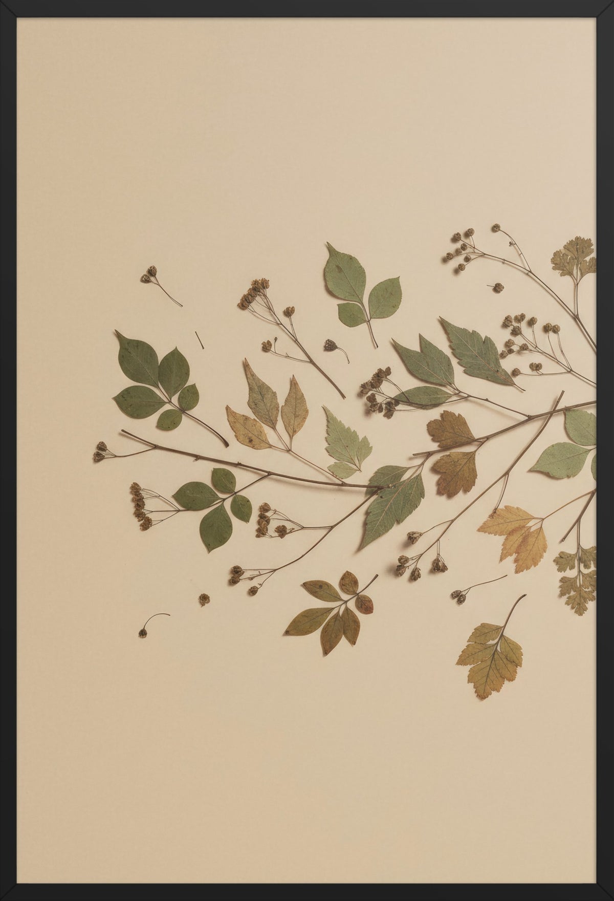 Wild Herbarium — poster in a black frame, front view