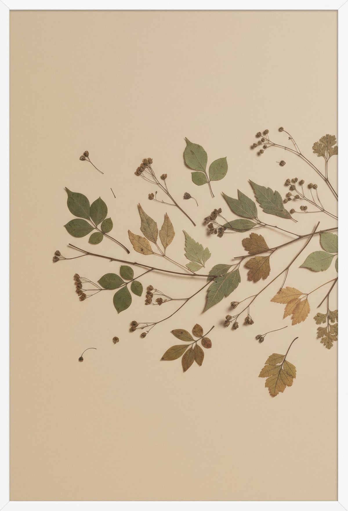 Wild Herbarium — poster in a white frame, front view