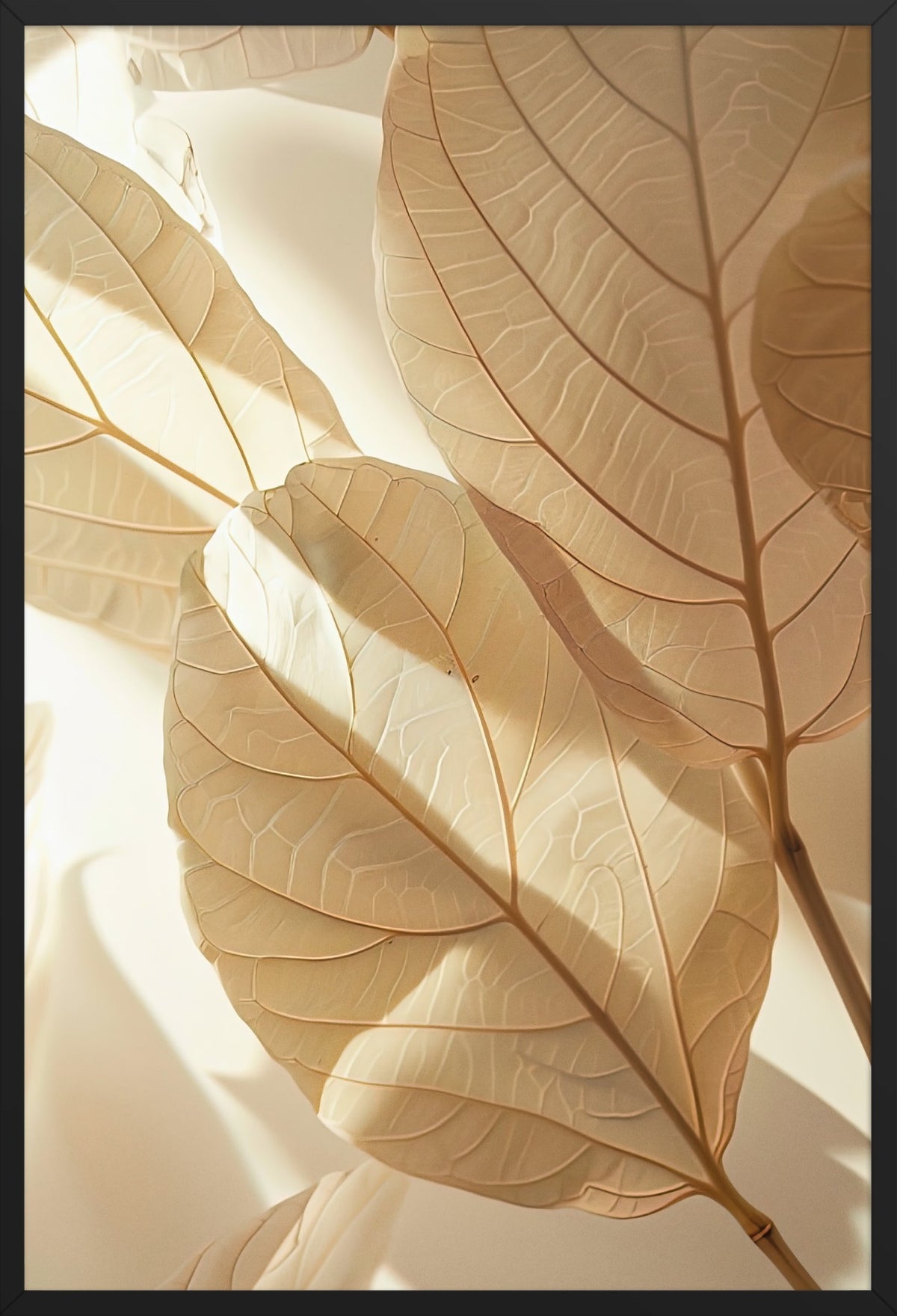 Shadow of Leaves — poster in a black frame, front view