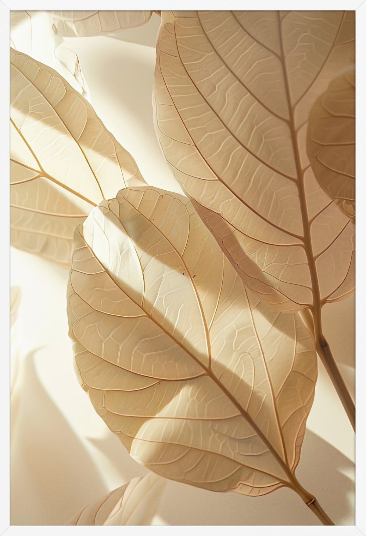 Shadow of Leaves — poster in a white frame, front view