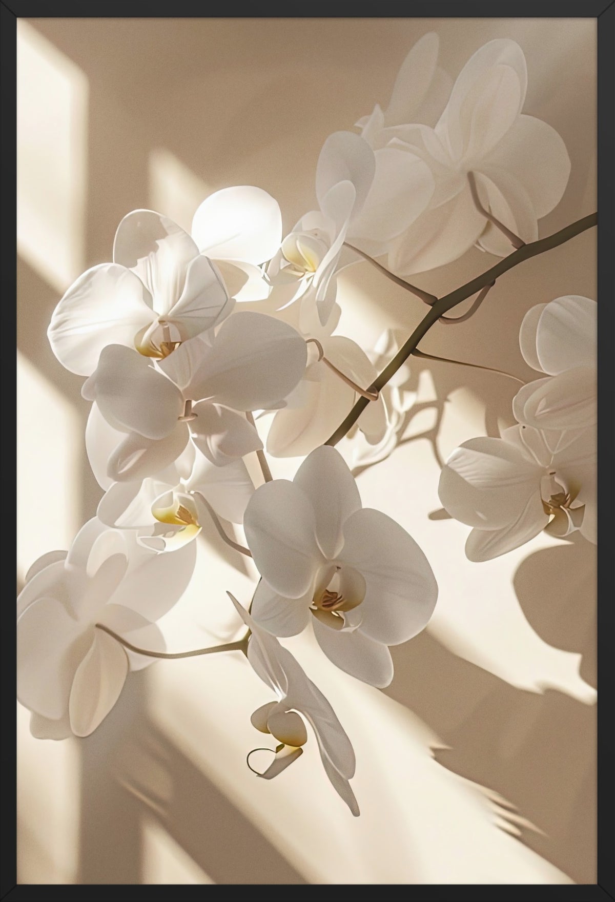 The Light Orchid — poster in a black frame, front view