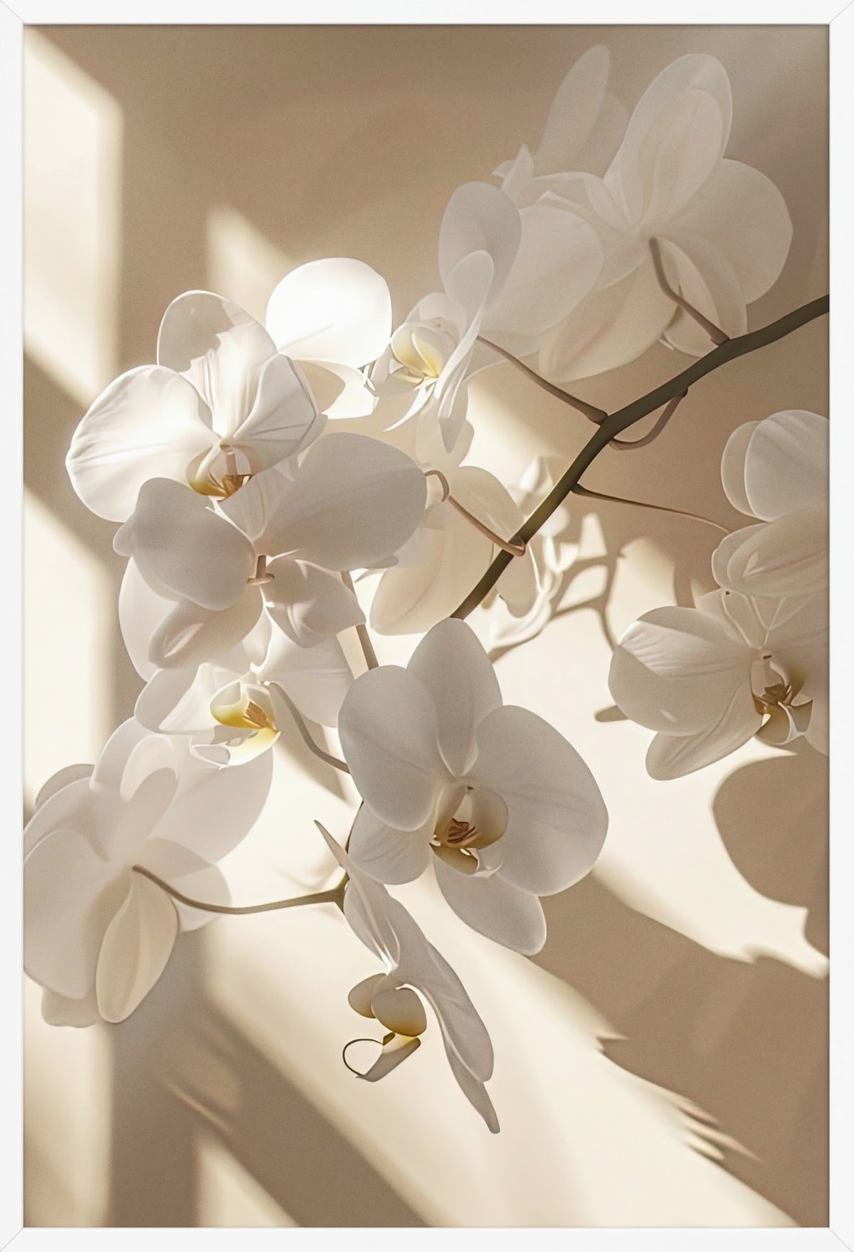 The Light Orchid — poster in a white frame, front view