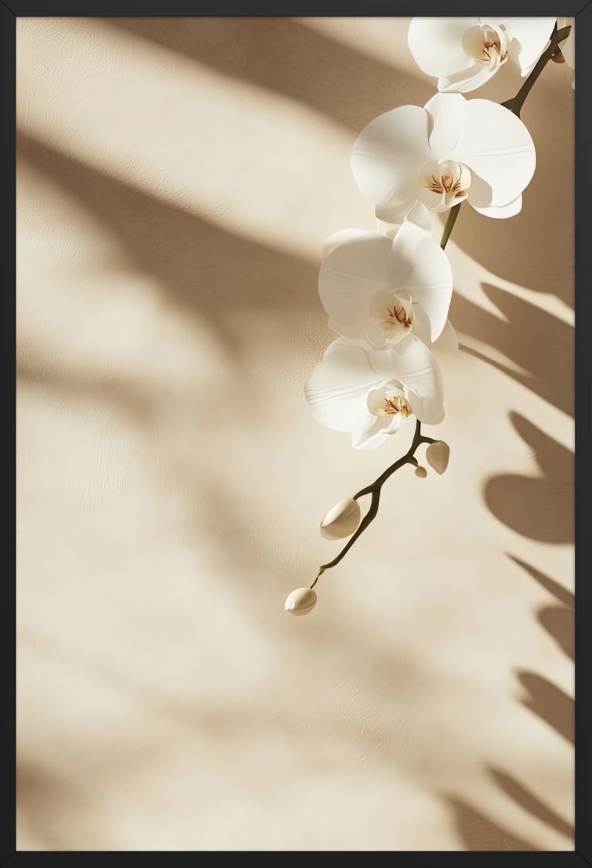 The Orchid and the Shadow — poster in a black frame, front view
