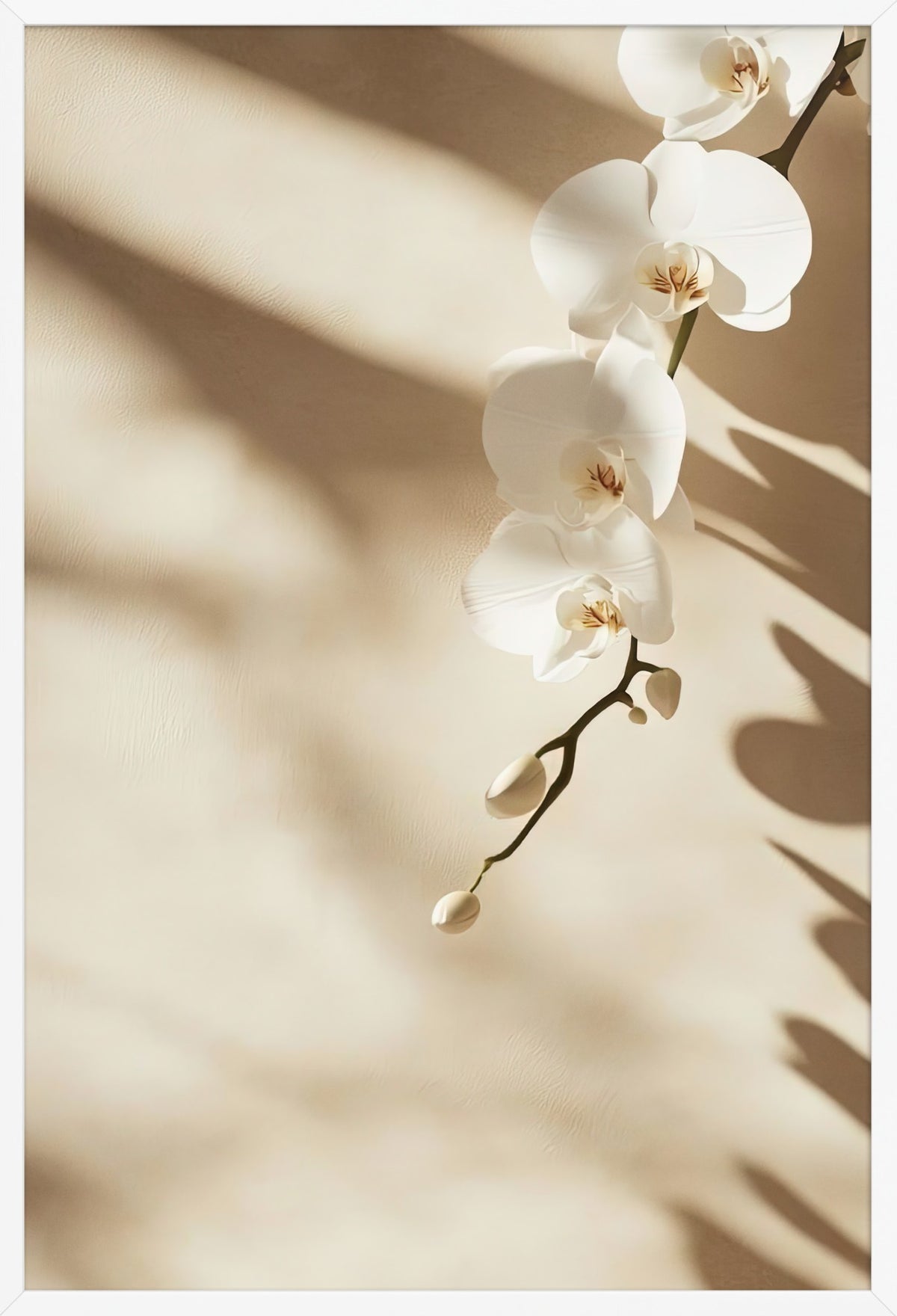 The Orchid and the Shadow — poster in a white frame, front view