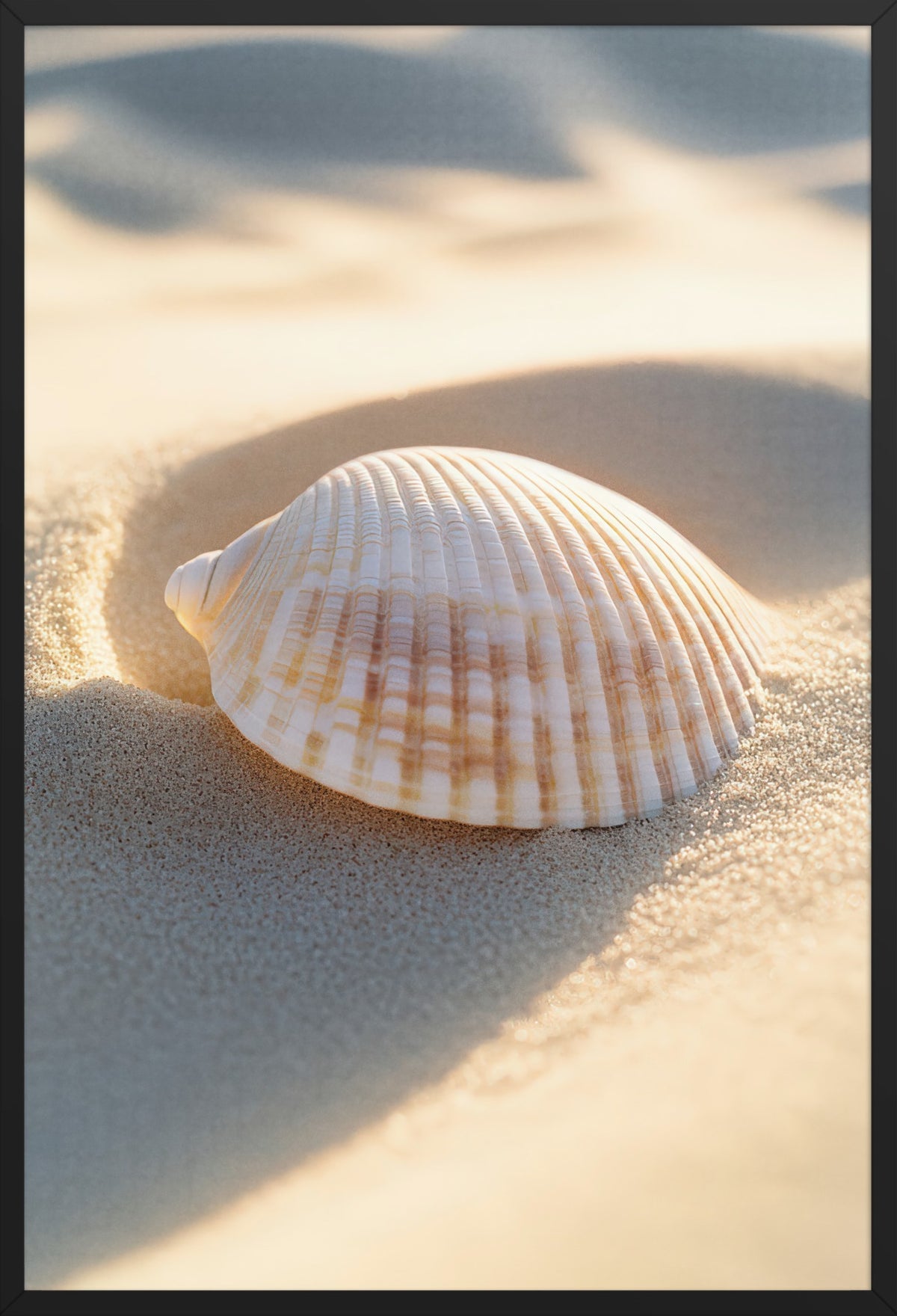 The Forgotten — poster in a black frame, front view