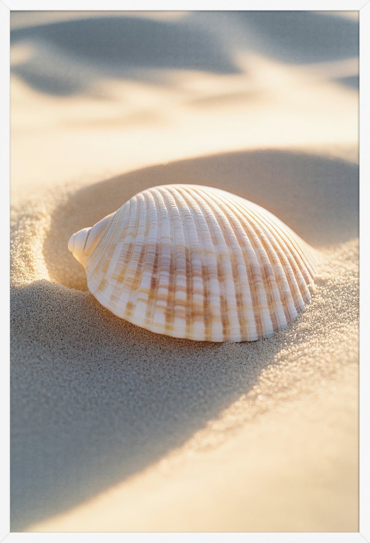 The Forgotten — poster in a white frame, front view