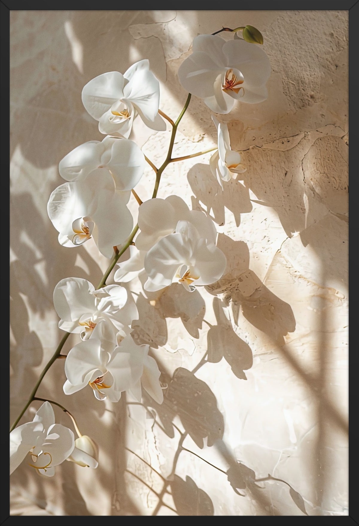 The Orchid Branch — poster in a black frame, front view