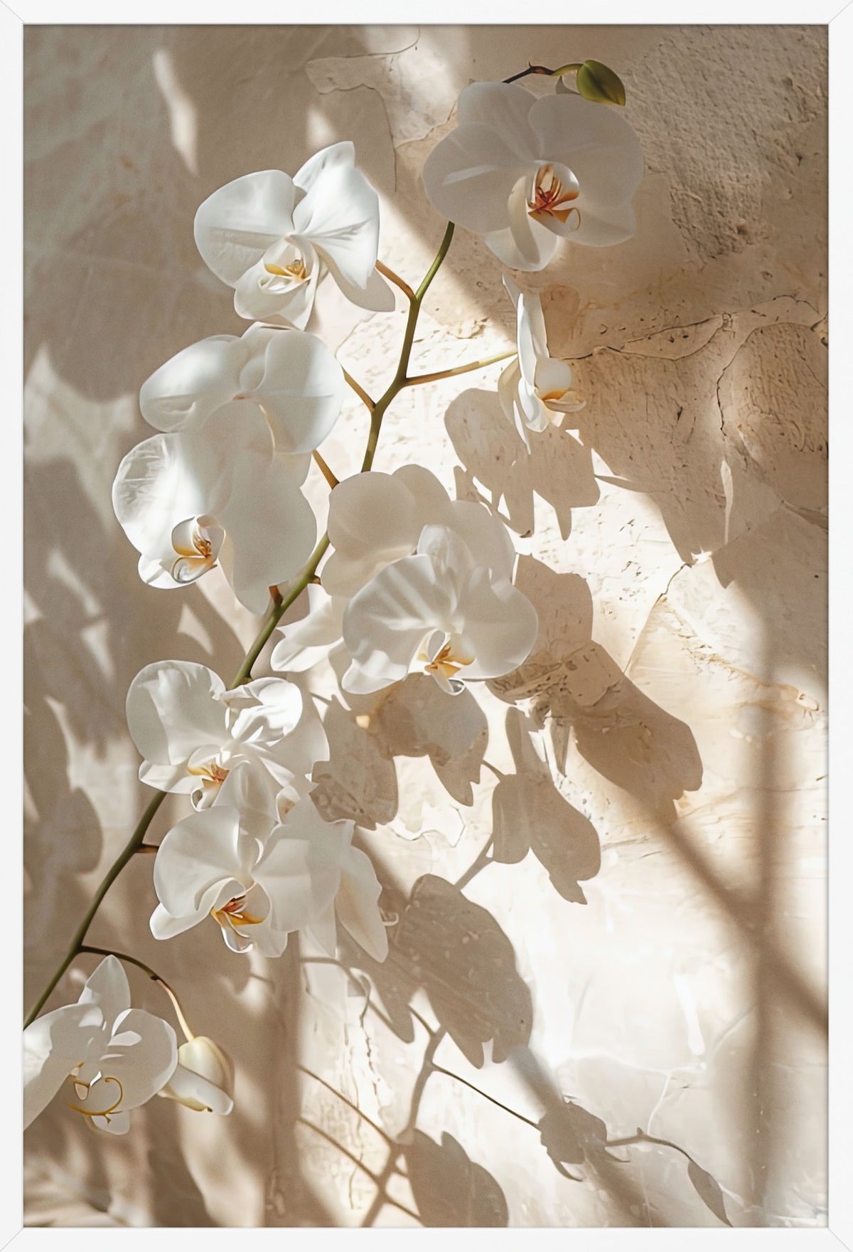 The Orchid Branch — poster in a white frame, front view