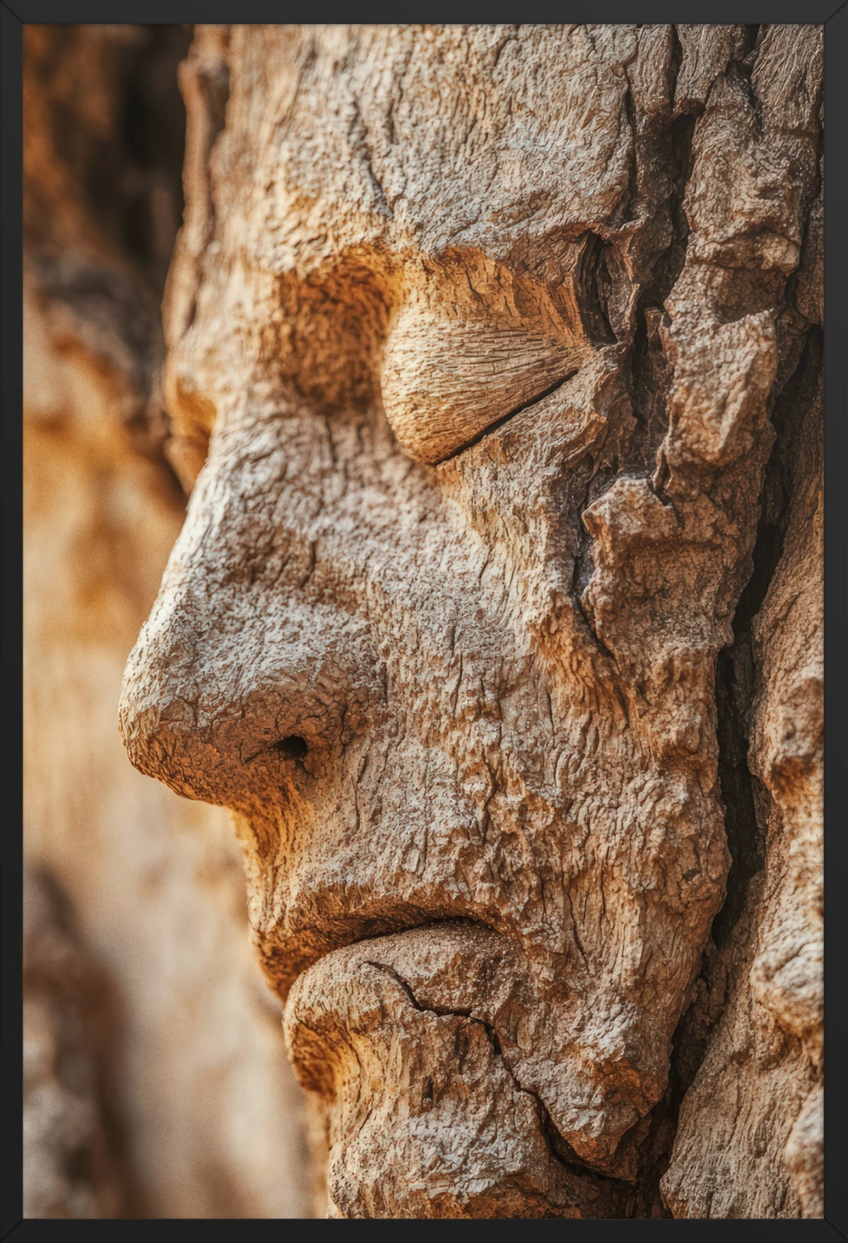 Oak Face — poster in a black frame, front view