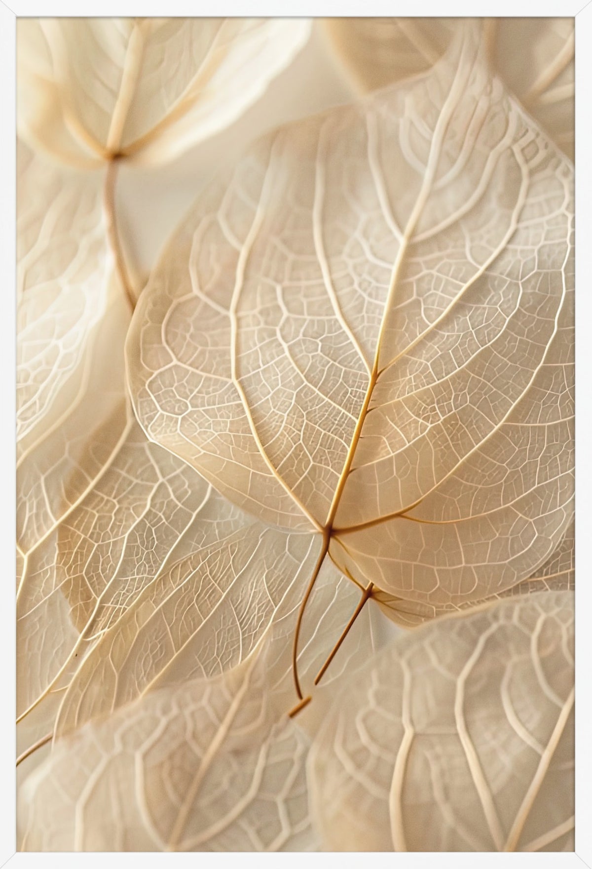 Skeleton Leaf — poster in a white frame, front view