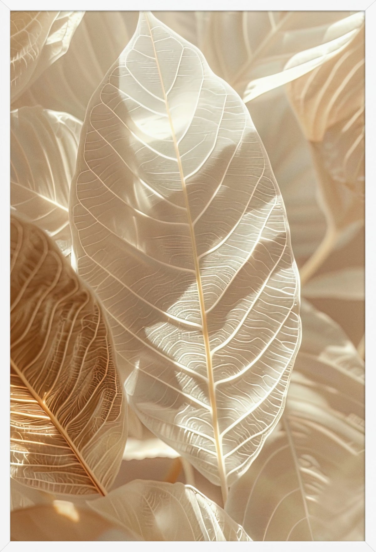 The Forest of Light — poster in a white frame, front view