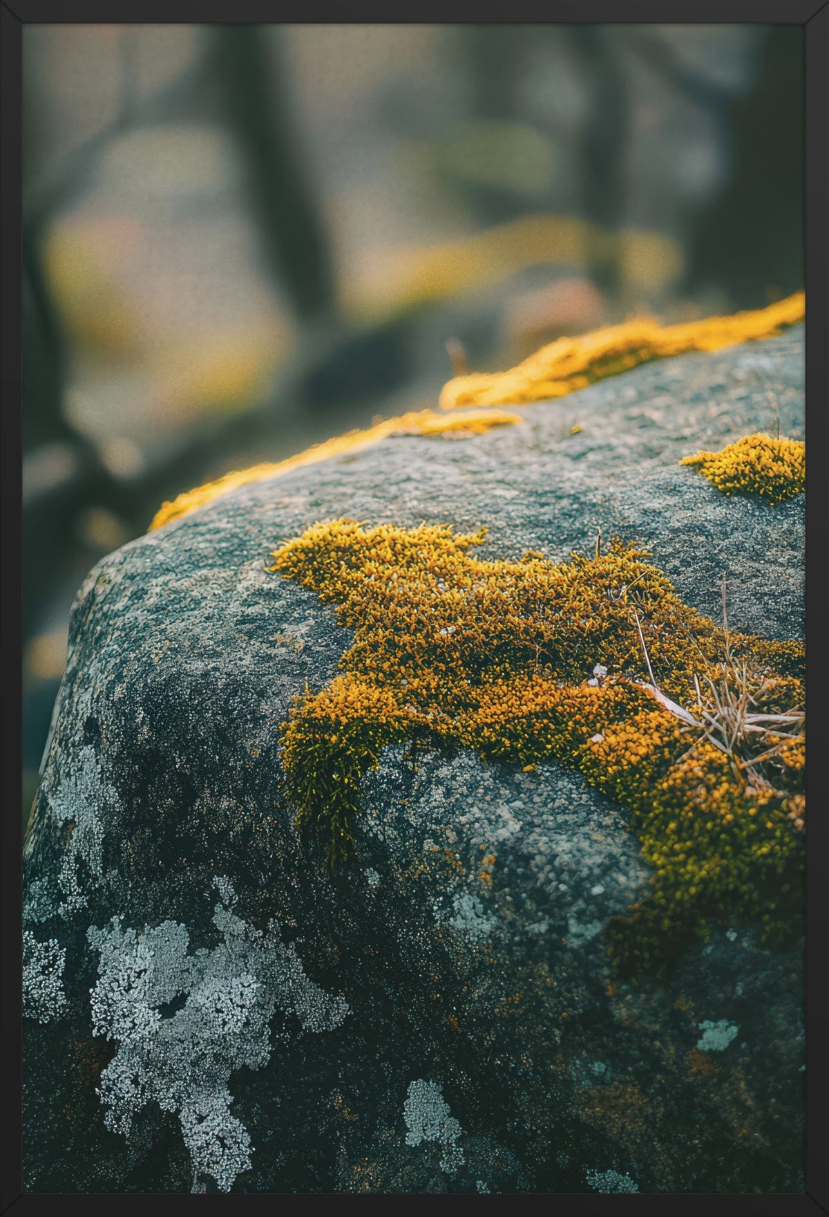 The Living Stone — poster in a black frame, front view