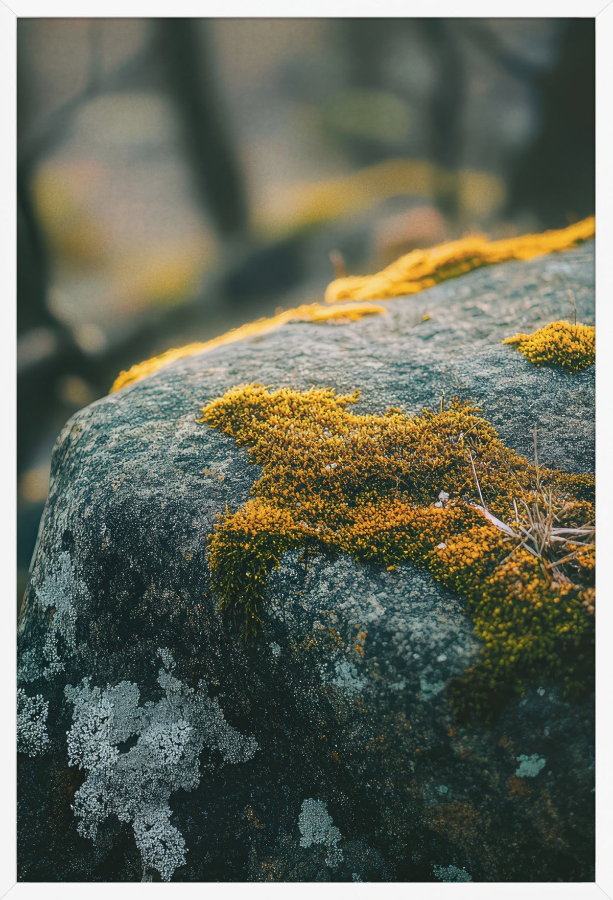 The Living Stone — poster in a white frame, front view