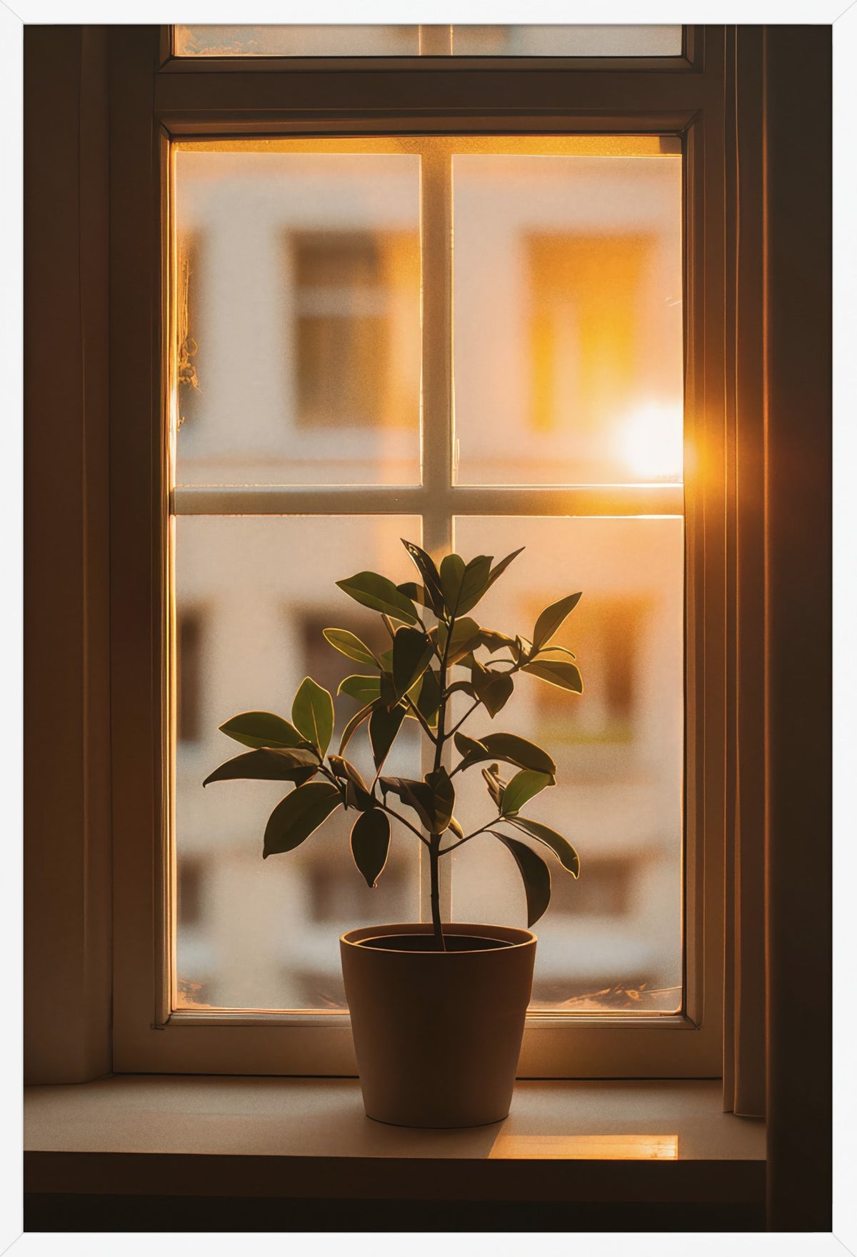 The Evening Plant — poster in a white frame, front view