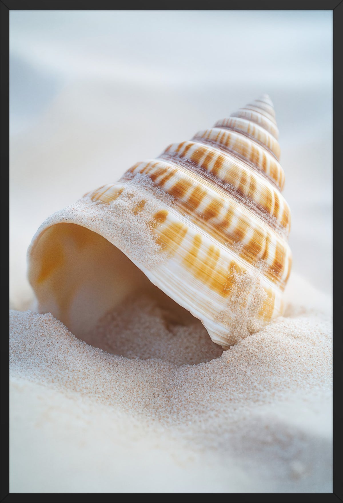 The Ocean Spiral — poster in a black frame, front view