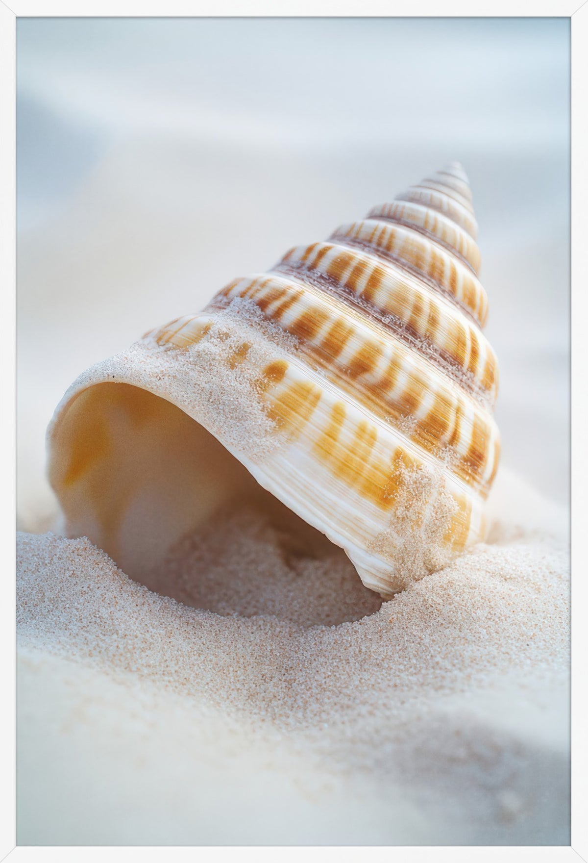 The Ocean Spiral — poster in a white frame, front view