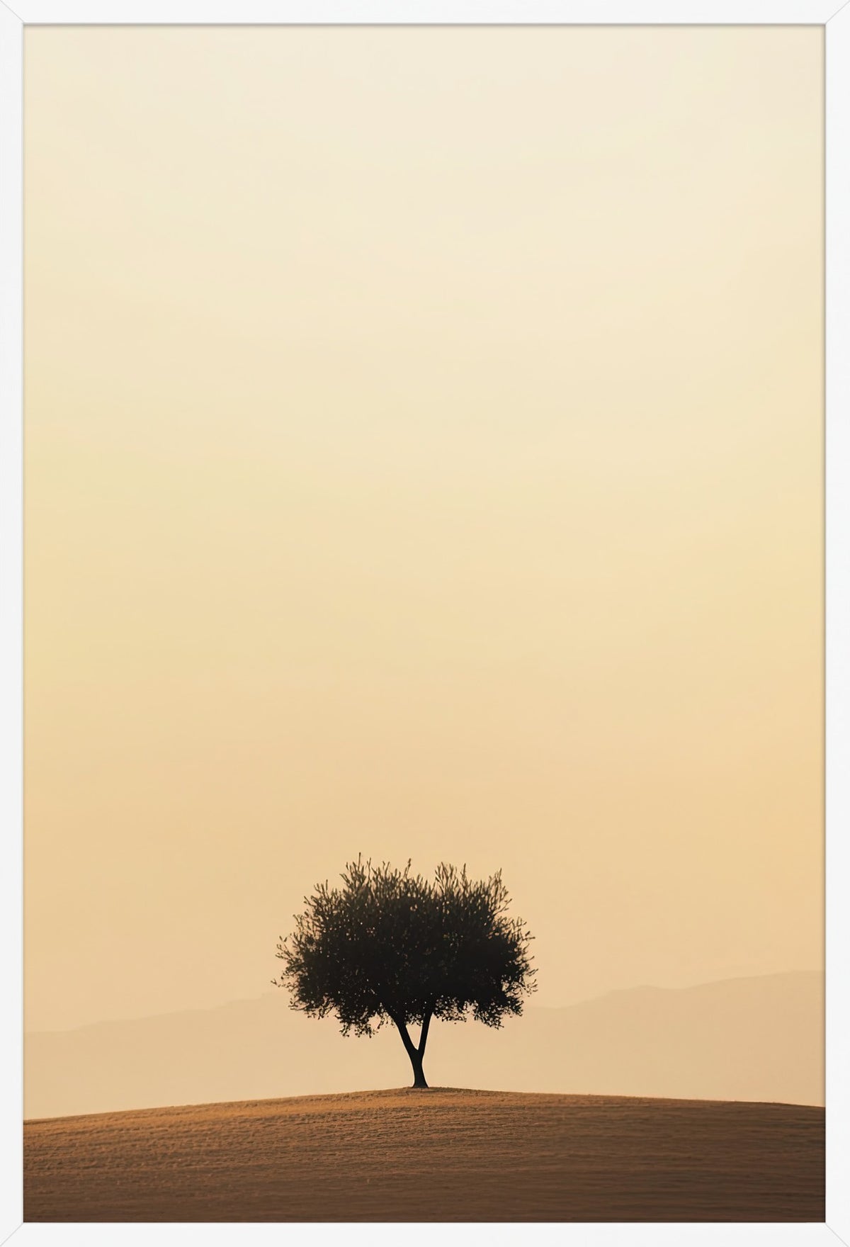The Evening Tree — poster in a white frame, front view