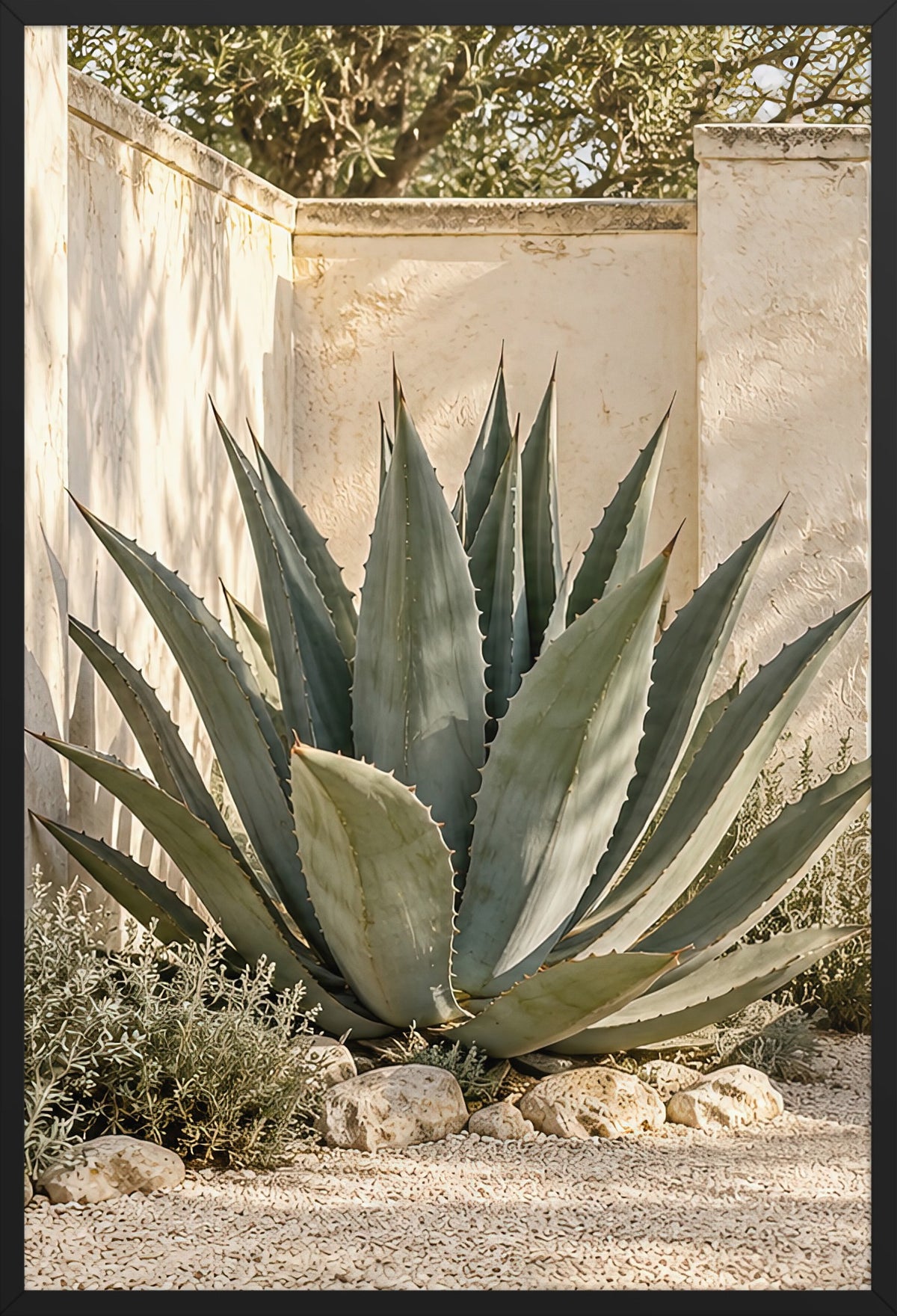 The Great Agave — poster in a black frame, 61 × 91 cm