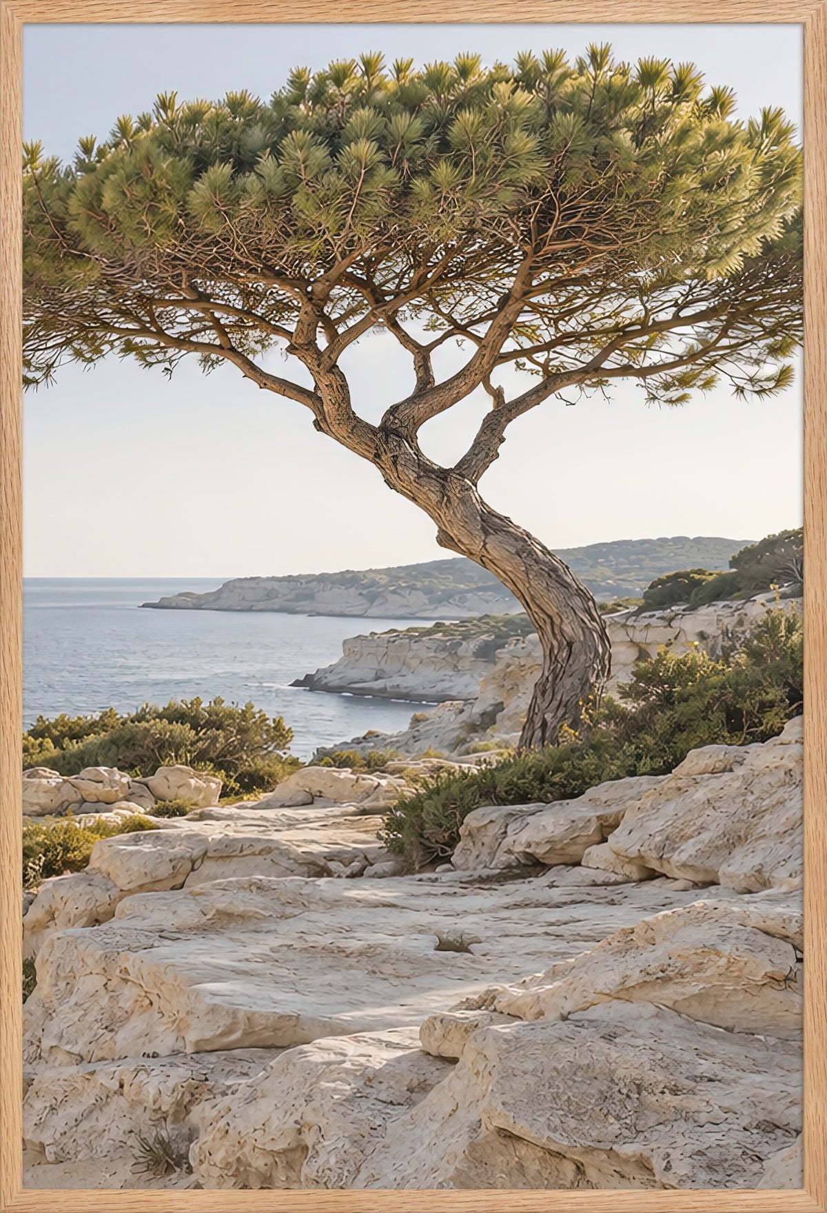 Le Pin Penché — affiche encadrée chêne massif 61 × 91 cm, prête à accrocher
