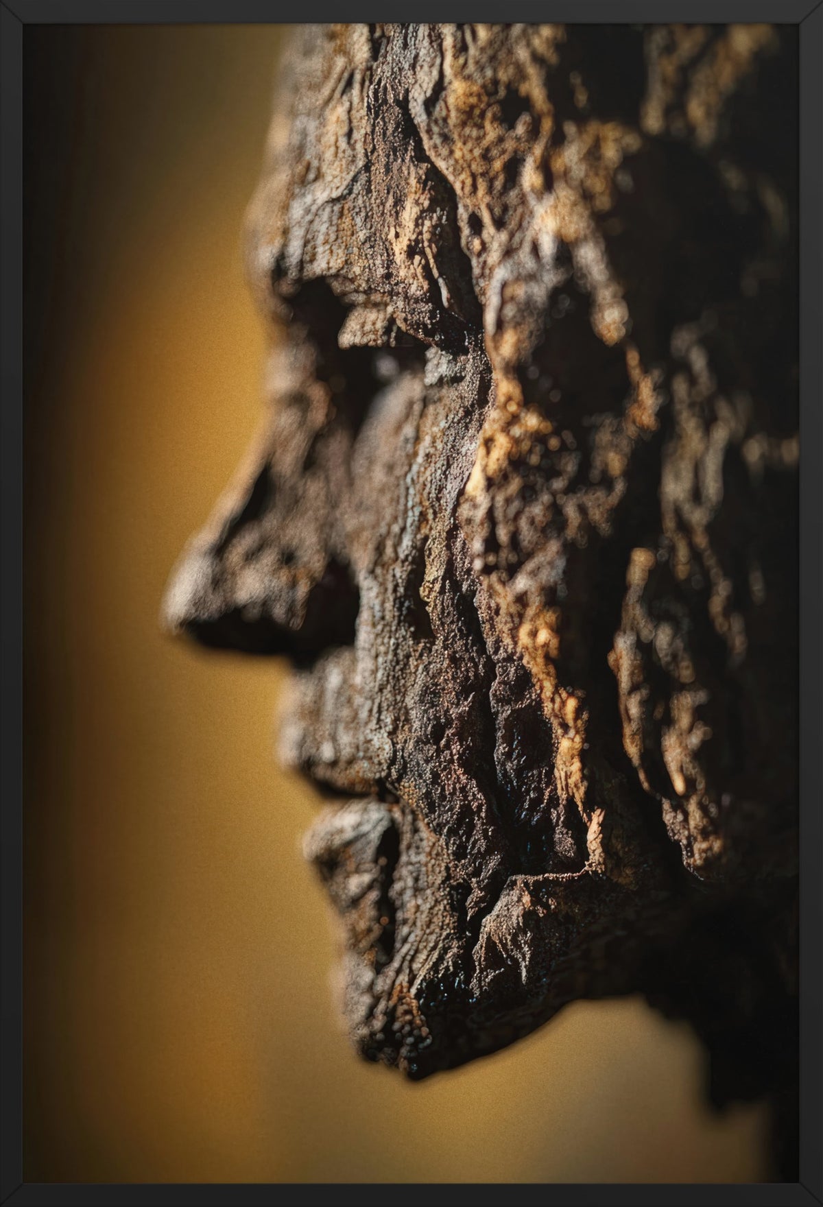 Bark Profile — poster in a black frame, front view