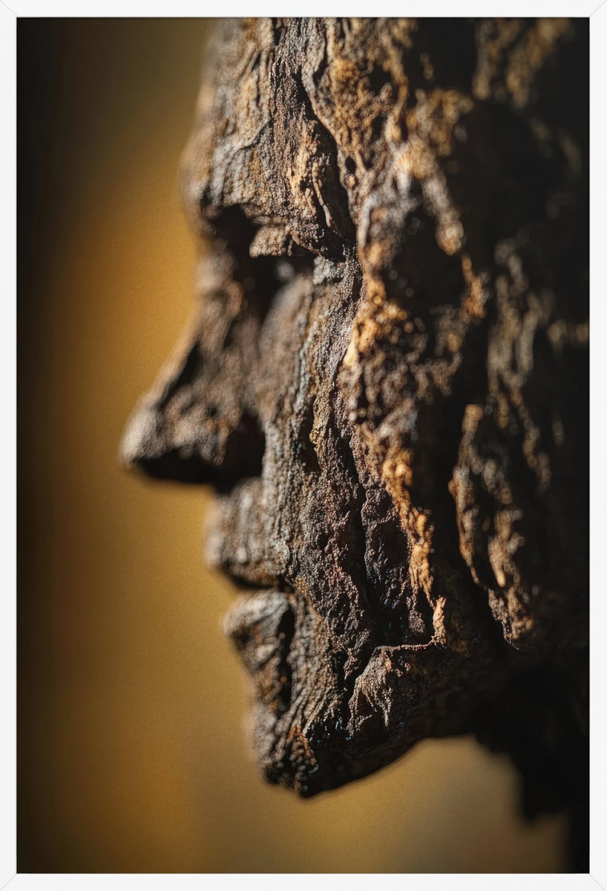 Bark Profile — poster in a white frame, front view
