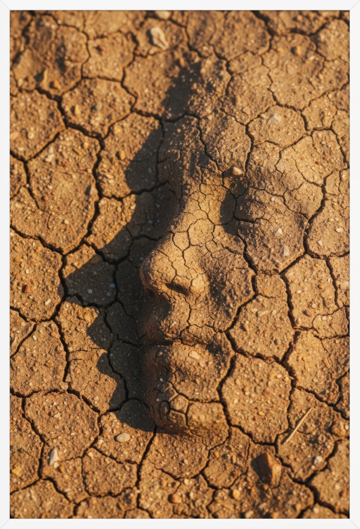 Earth Profile — poster in a white frame, front view
