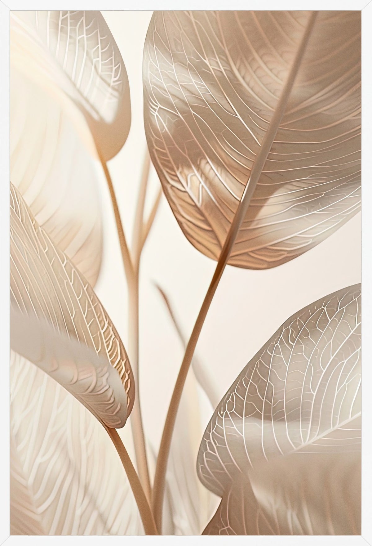 The Ivory Leaves — poster in a white frame, front view