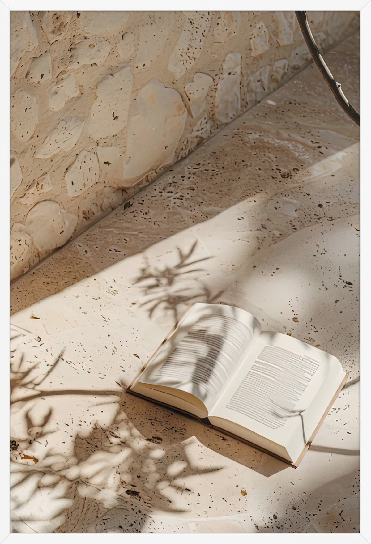 The Shadow of the Book — poster in a white frame, front view