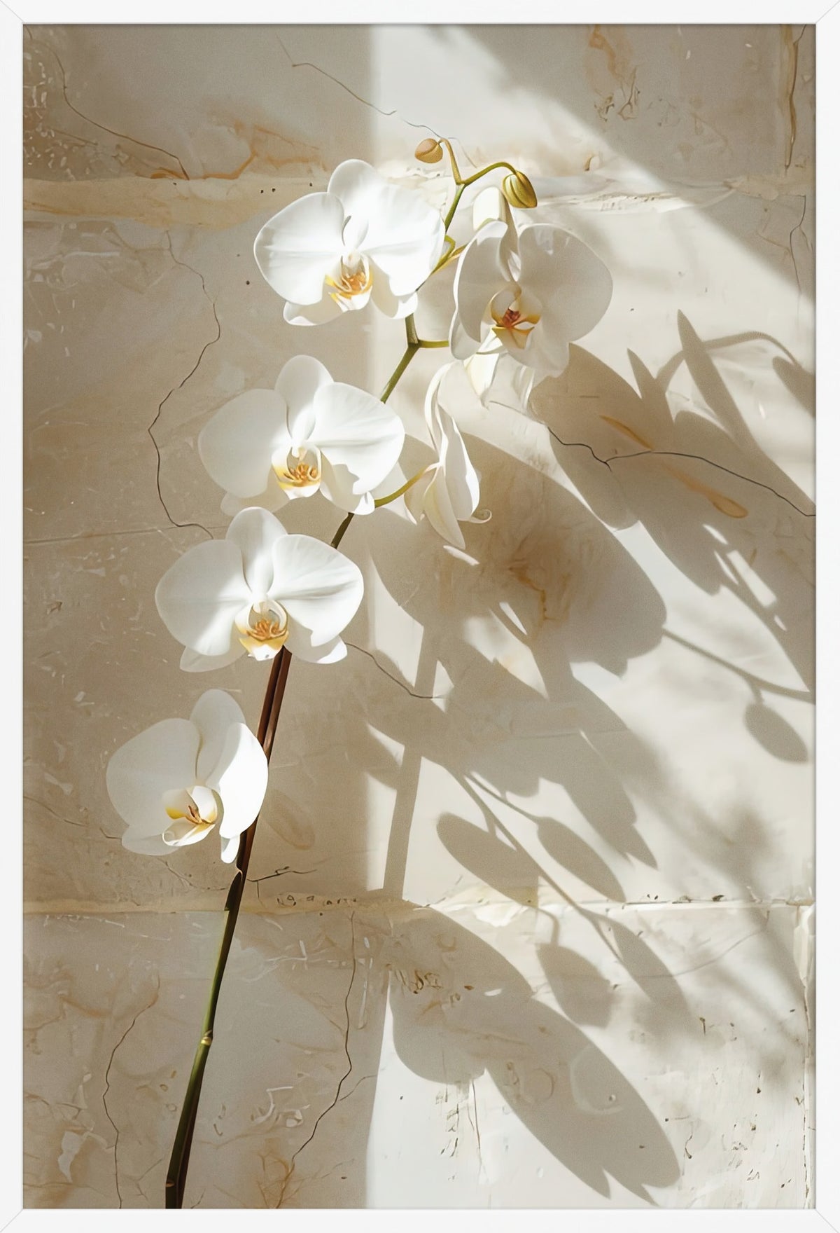 The Stone Orchid — poster in a white frame, front view