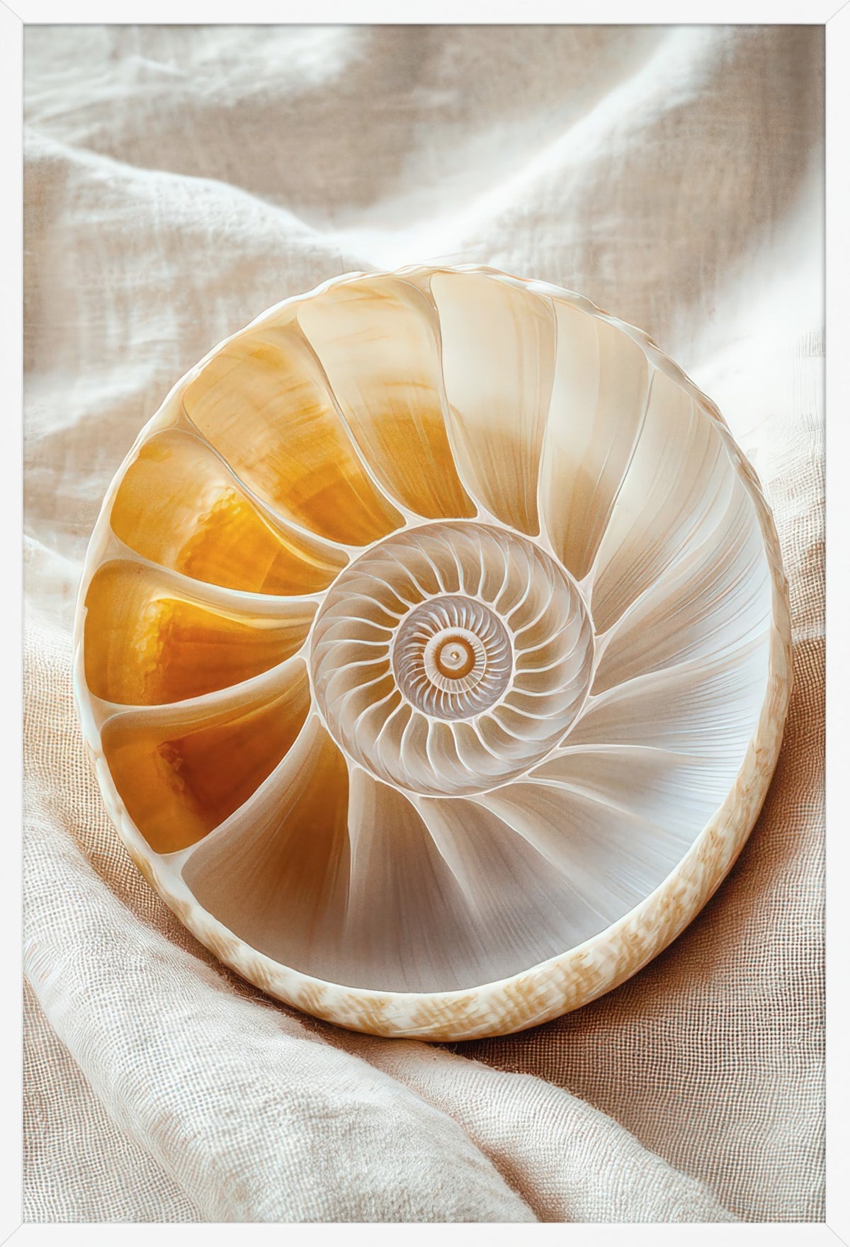 Golden Nautilus — poster in a white frame, front view