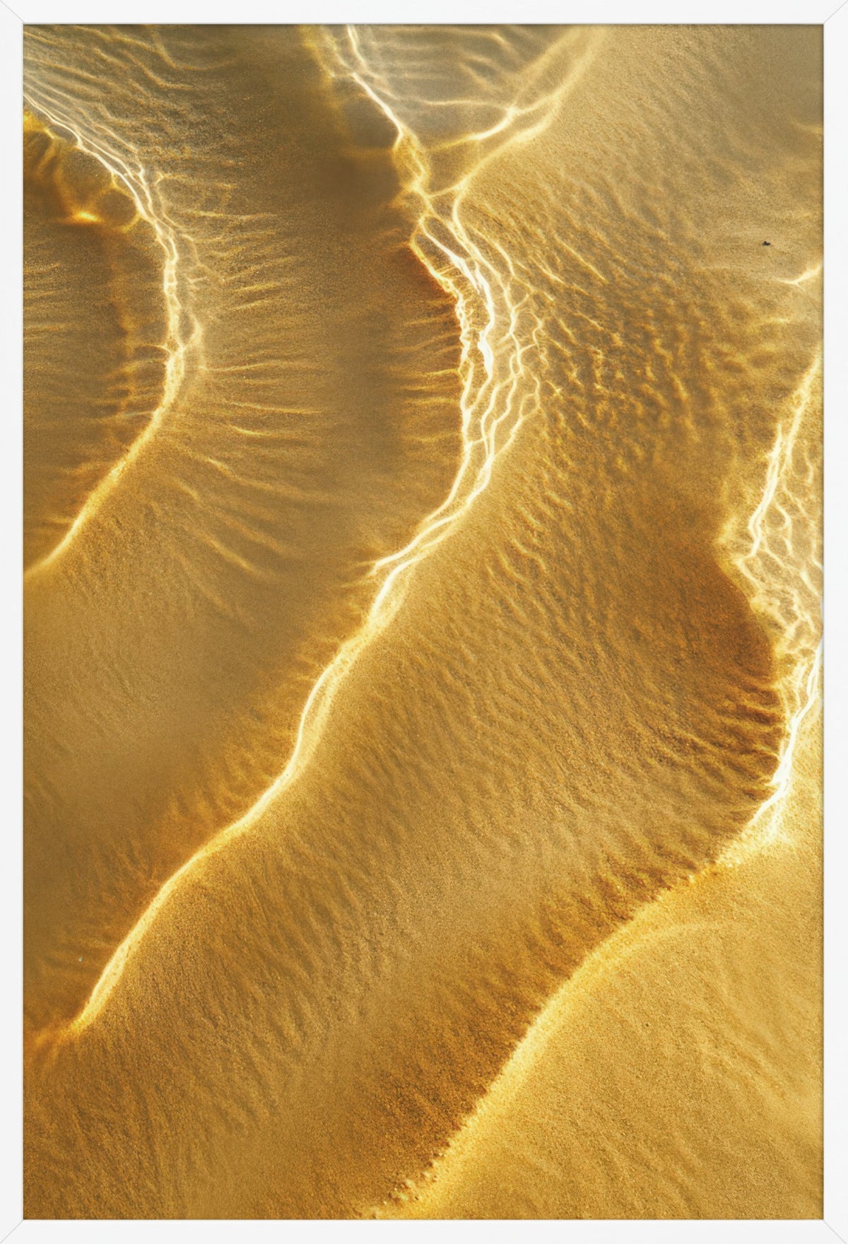 The Gold of the Desert — poster in a white frame, front view