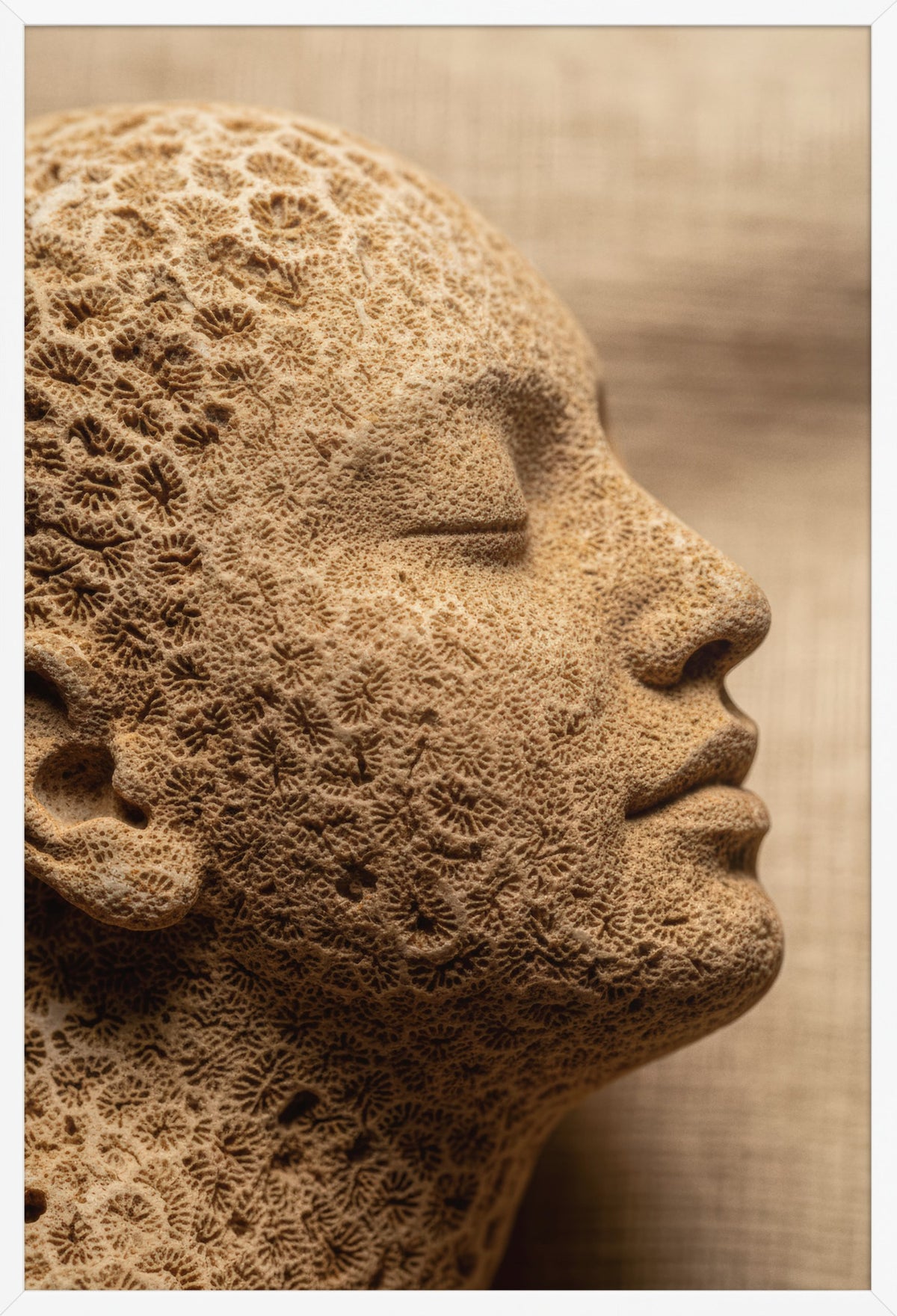 Coral Skin — poster in a white frame, front view